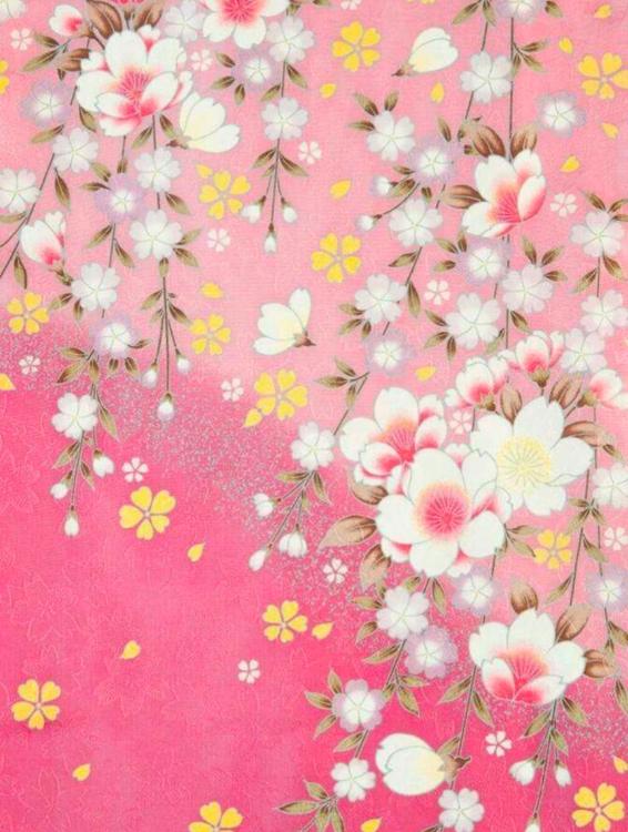 来世まで、貴方のお傍に。