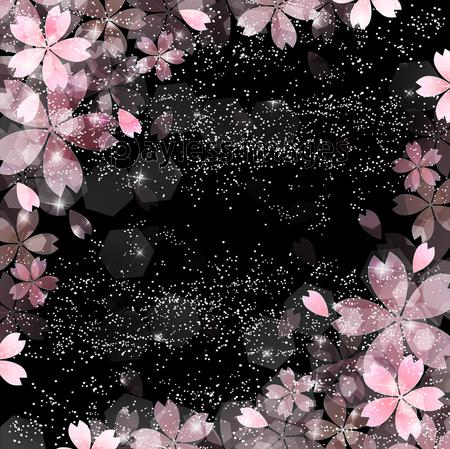 無情の花嫁は、無自覚の寵愛で咲き誇る。