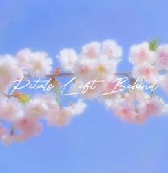 Petals Left Behind