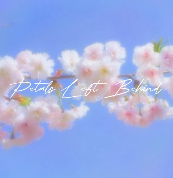 Petals Left Behind