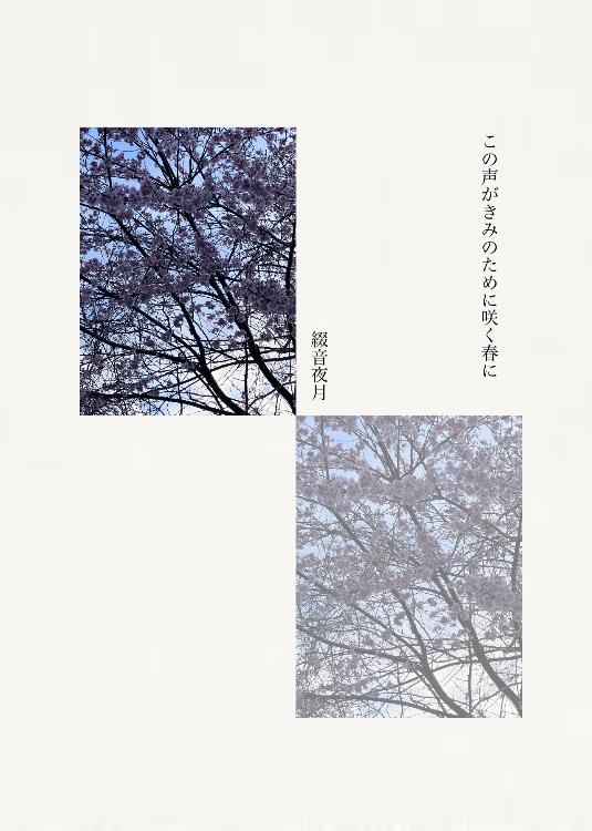 この声がきみのために咲く春に