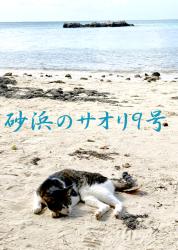 砂浜のサオリ９号―A Cat Has Nine Lives―
