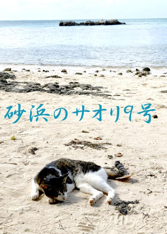 砂浜のサオリ9号―A Cat Has Nine Lives―