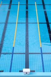 ざまあをください。