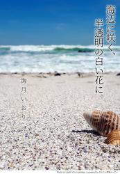 海辺に咲く、半透明の白い花に。