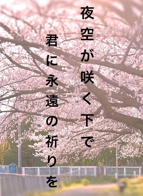 夜空が咲く下で君に永遠の祈りを