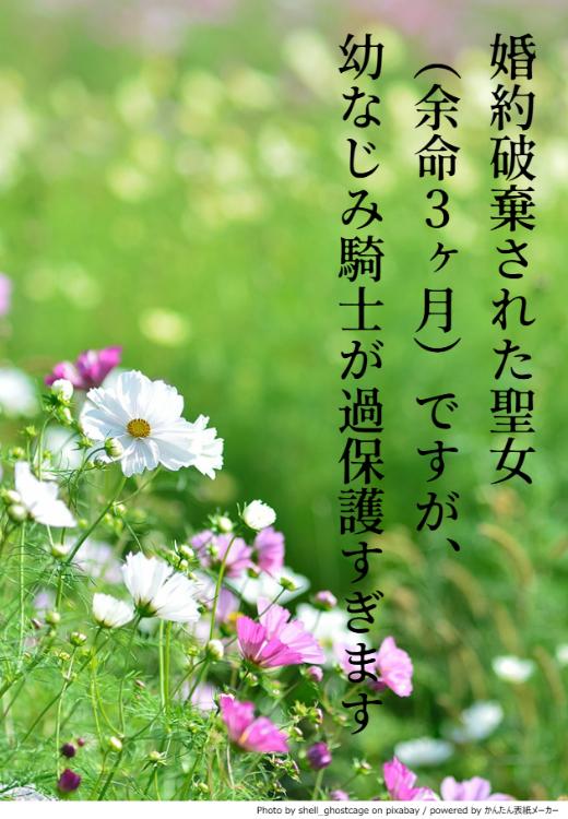 婚約破棄された聖女（余命3ヶ月）ですが、幼なじみ騎士が過保護すぎます