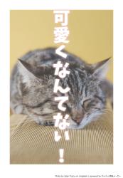 可愛くなんてない！