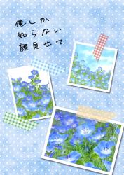 俺しか知らない顔見せて
