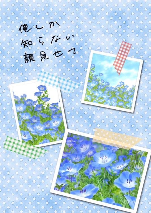 俺しか知らない顔見せて
