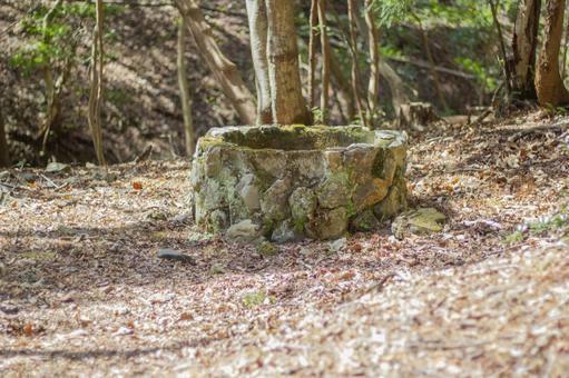 【短編ホラー】父の実家には井戸がある