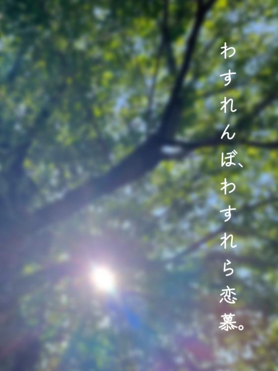 わすれんぼ、わすれら恋慕。