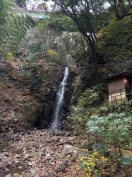 元外資OLマナの移住生活日記･:*+.