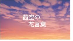 茜空の花言葉