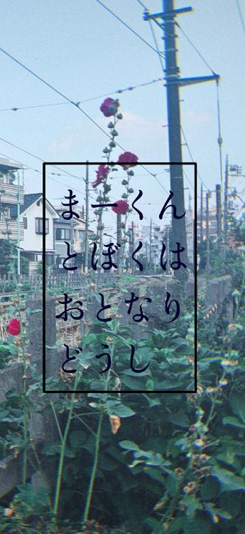 まーくんとぼくはおとなりどうし