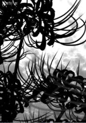 コンビニ店員、久世晶の知られざる一面について