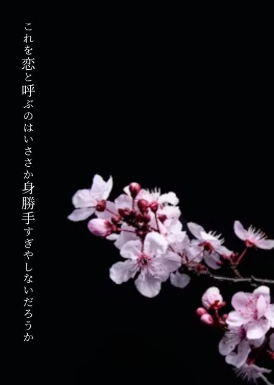 これを恋と呼ぶのはいささか身勝手すぎやしないだろうか