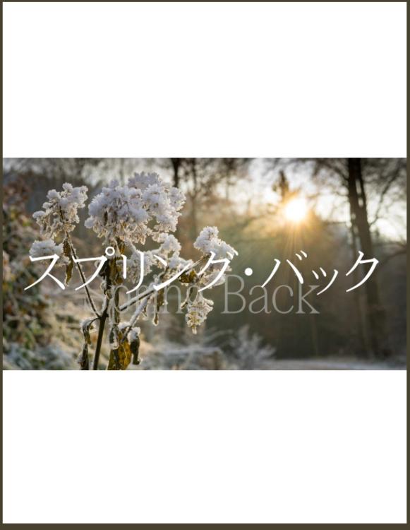 スプリング・バック