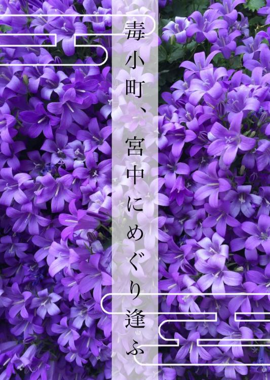 毒小町、宮中にめぐり逢ふ