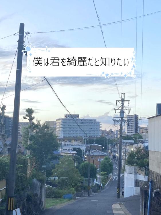 僕は君を綺麗だと知りたい