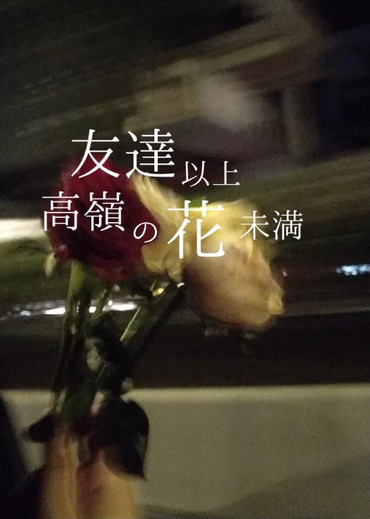 友達以上高嶺の花未満