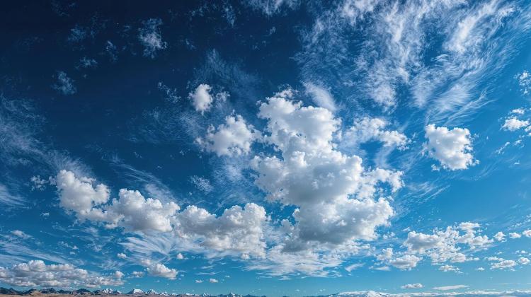 八島から逃げろ！