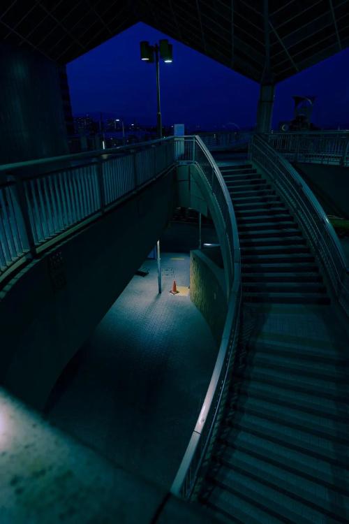 レムスの最終決戦 〜歴戦王に挑む〜