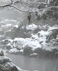恐怖！ありえない雪山小屋でのバーベキュー