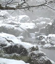 恐怖！雪山小屋でのバーベキュー
