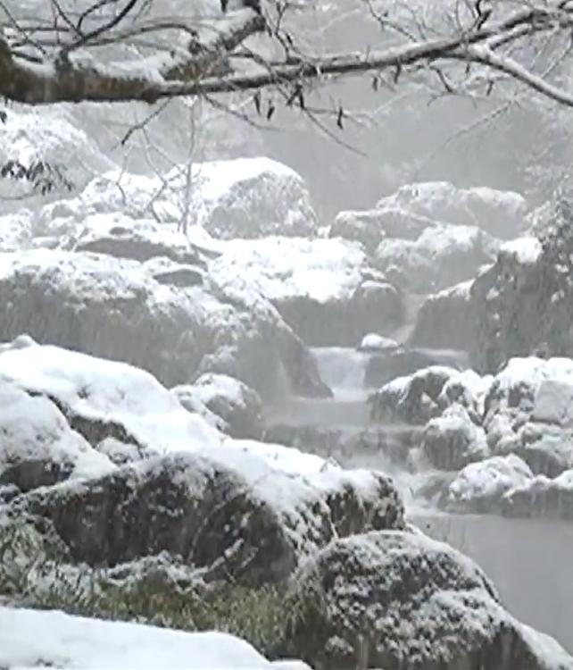 恐怖!雪山小屋でのバーベキュー