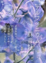 デルフィニウム群青録 ―老舗旅館バイトにスカウトした野球部エースが、なぜか俺のお婿さんに立候補しました―