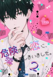 危険すぎる恋に、落ちてしまいました。２