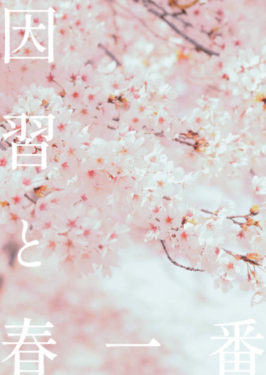因習と春一番