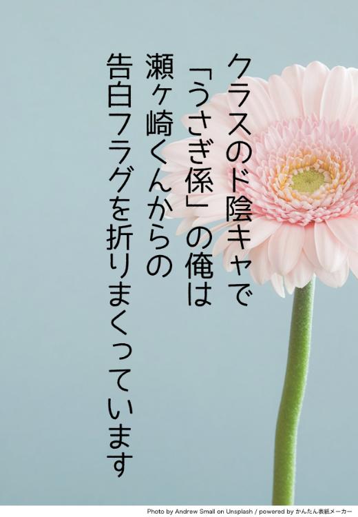 クラスのド陰キャで「うさぎ係」の俺は、瀬ヶ崎くんからの告白フラグを折りまくっています。