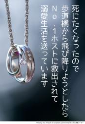 死にたくなったので歩道橋から飛び降りようとしたら、No. 1ホストに救出されて、溺愛生活を送っています。