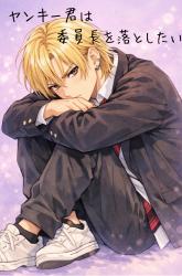 ヤンキー君は委員長を落としたい