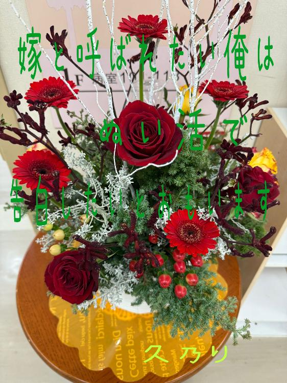 嫁と呼ばれたい俺はぬい活で告白したいと思います