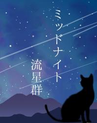 ミッドナイト流星群──眠る黒猫