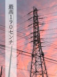 最高１９０センチ