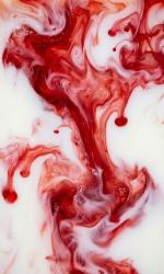 憧れの教育実習生に、脈がない！？