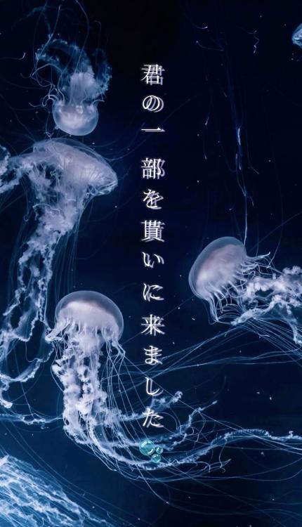 君の一部を貰いに来ました