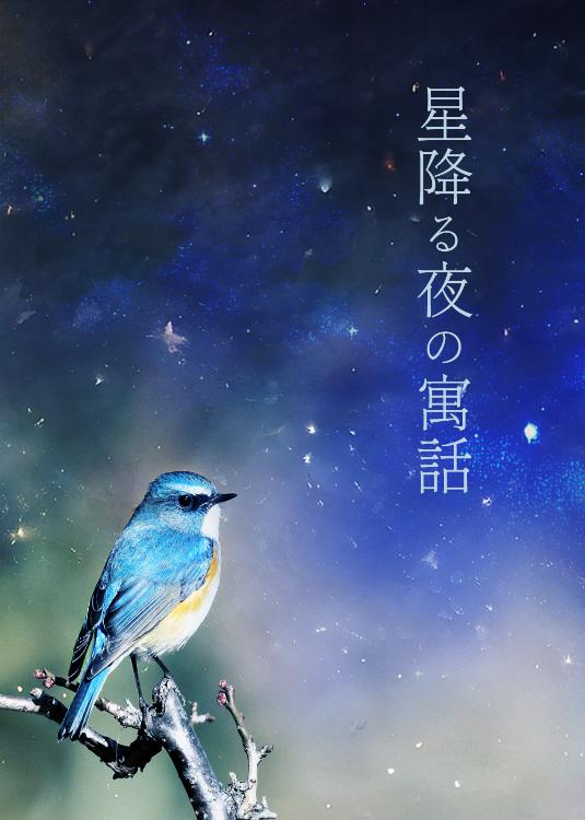 星降る夜の寓話