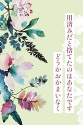 用済みだと捨てたのはあなたです、どうかおかまいなく~隣国で王子たちに愛されて幸せです~