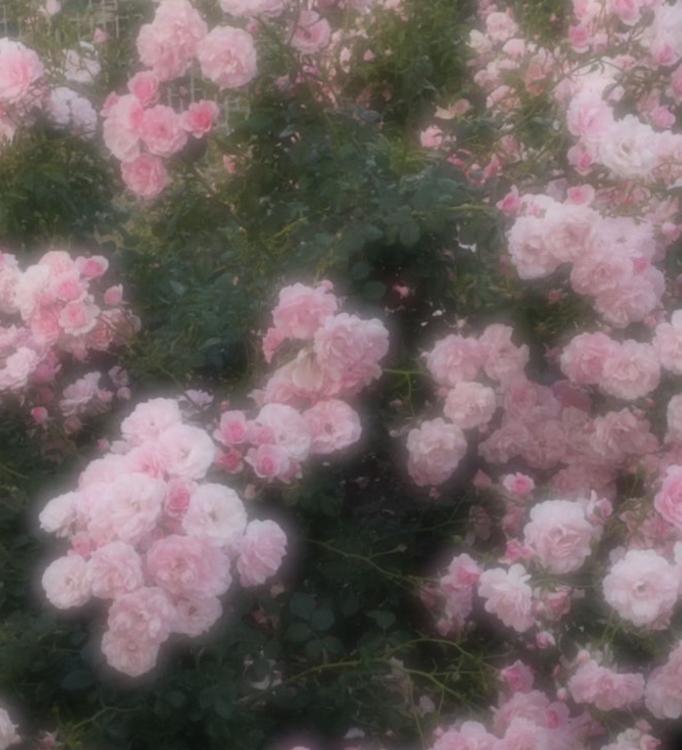 気が付いたら君が消えていて