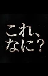 ■■大学　ネコ部の活動報告日記（仮に私がタイトルをつけました！）