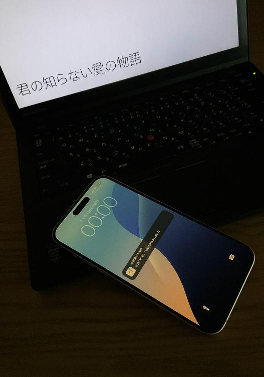 君の知らない愛の物語