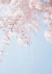 最強術者であることを隠して自由に生きようと思っていましたが現最強術者の花嫁になり溺愛されるようになりました