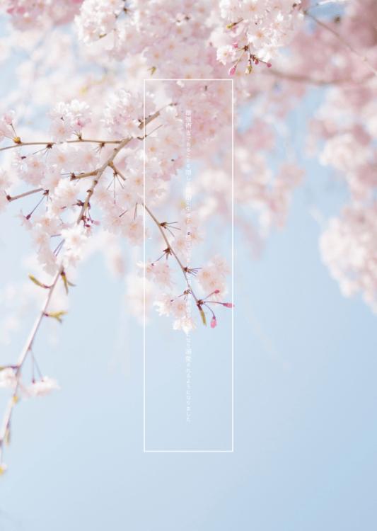 最強術者であることを隠して自由に生きようと思っていましたが現最強術者の花嫁になり溺愛されるようになりました