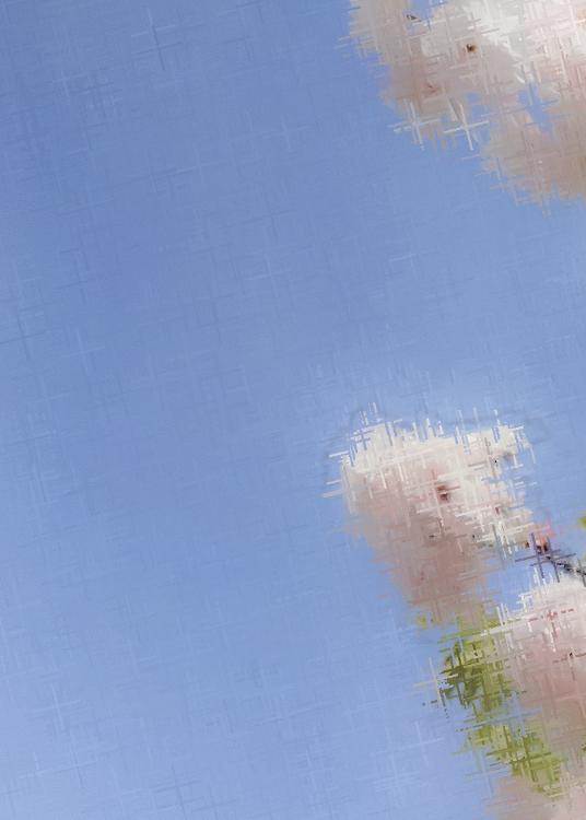 晴るはじめの明日を