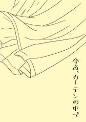 今夜、カーテンの中で